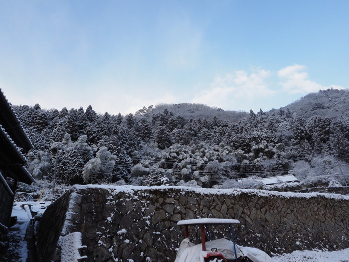 ゴミ収集場所からの雪景色_c0116915_22345021.jpg