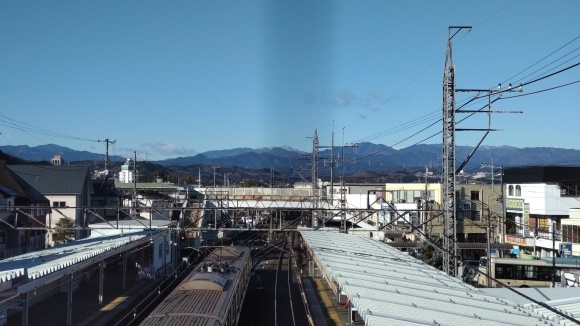悲喜こもごも2022_c0155326_16570814.jpg