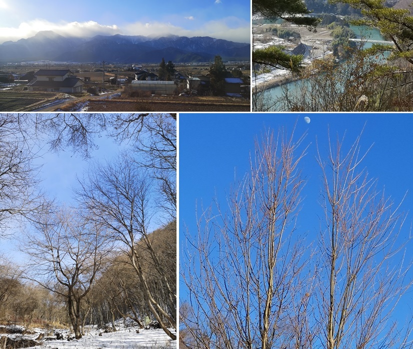 生坂村の金戸山_a0212730_16225825.jpg