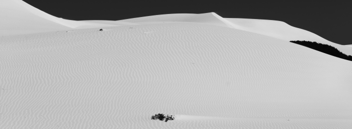 Dune,s _f0050534_09285237.jpg