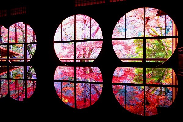 2021.11/30-12-1京都・祐斎亭_d0039443_17140330.jpg