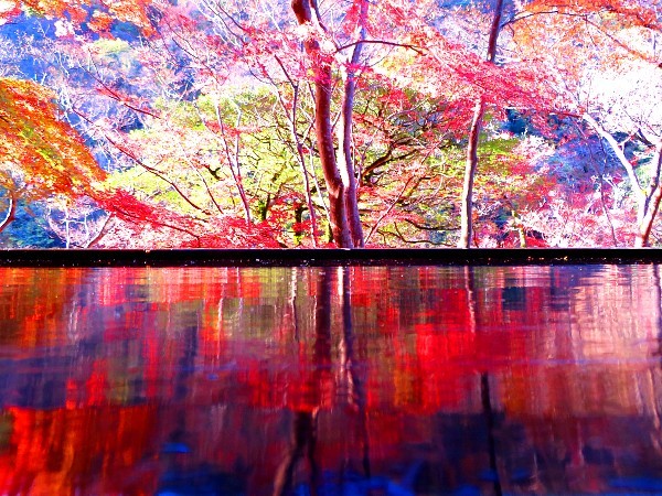 2021.11/30-12-1京都・祐斎亭_d0039443_17220332.jpg