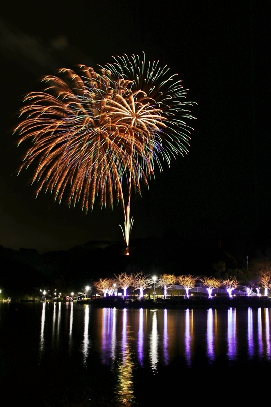 新成人を祝うサプライズ花火 蓮華寺池公園 2 Happy Cafe Vol 2 新成人を祝うサプライズ花火 蓮華寺池公園 2 Happy Cafe Vol 2