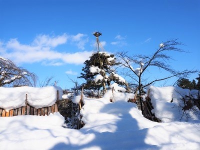 弘前公園冬景色と雪吊り頭飾り_2022.01.10撮影_d0131668_17281701.jpg