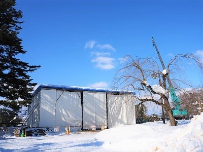 弘前公園冬景色と雪吊り頭飾り_2022.01.10撮影_d0131668_17325842.jpg