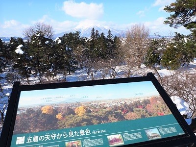弘前公園冬景色と雪吊り頭飾り_2022.01.10撮影_d0131668_17332975.jpg