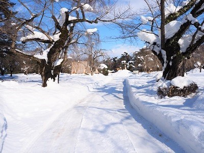 弘前公園冬景色と雪吊り頭飾り_2022.01.10撮影_d0131668_17354511.jpg