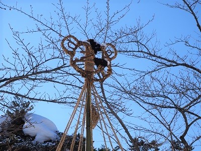 弘前公園冬景色と雪吊り頭飾り_2022.01.10撮影_d0131668_17362585.jpg