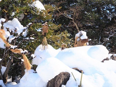 弘前公園冬景色と雪吊り頭飾り_2022.01.10撮影_d0131668_17372935.jpg