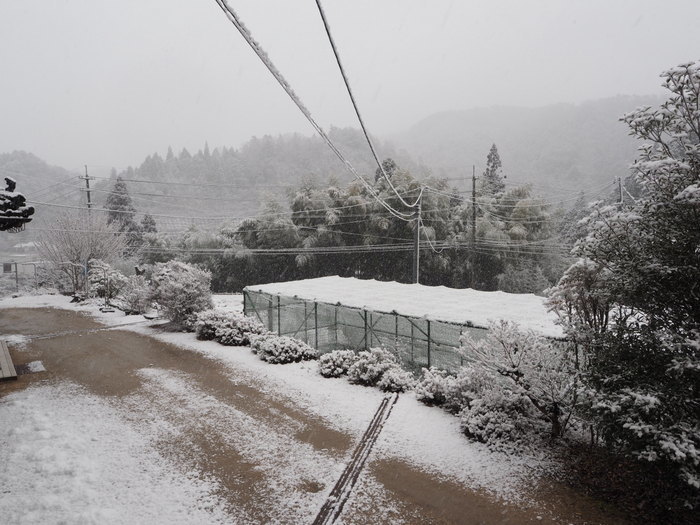 夕方、また雪景色_c0116915_22184097.jpg