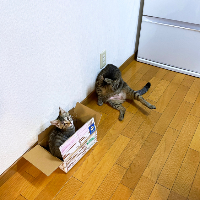 少しの我慢。_d0355333_00031727.jpg
