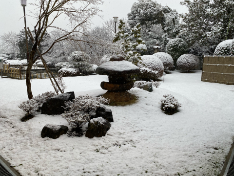 別館名物の庭も雪景色になりました。_a0217348_12001157.jpg