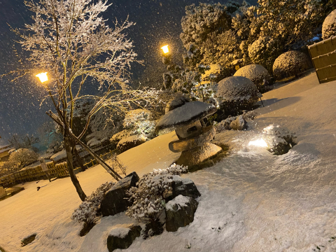別館名物の庭も雪景色になりました。_a0217348_12003176.jpg