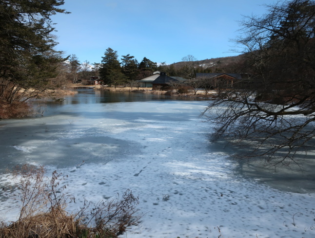 軽井沢の冬景色 * 凍る・凍る・凍る!_f0236260_18505948.jpg