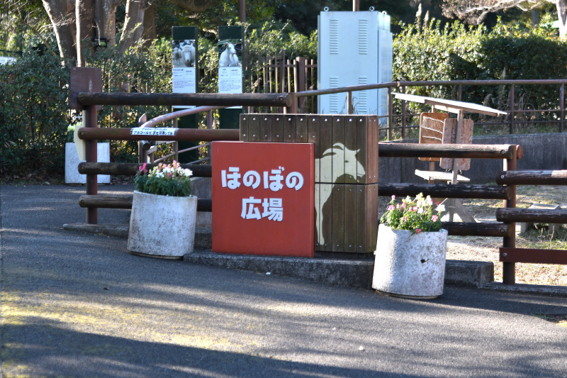 雪と笹_a0164204_05510798.jpg