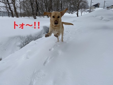 ピタリ賞でるか??_c0182012_13314920.jpg