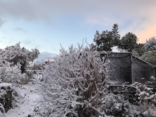雪景色_f0375039_16490112.jpeg