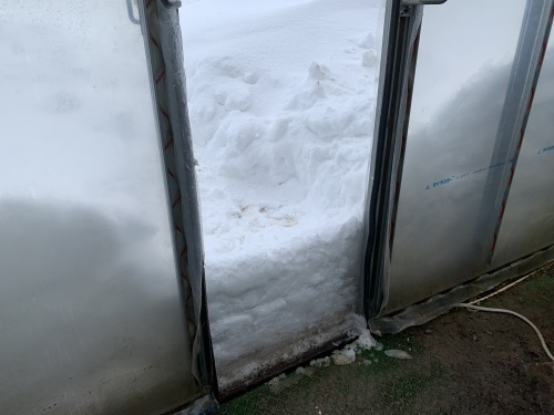 1日で積雪７０センチ、大荒れ_c0335145_18331413.jpeg