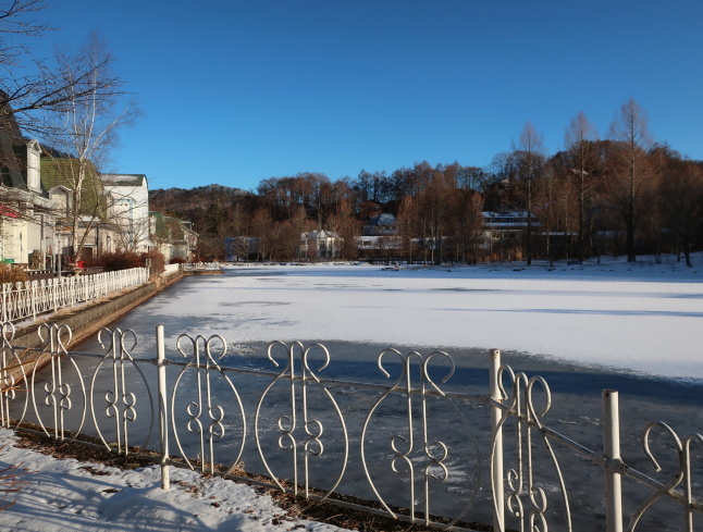 南軽井沢の雪景色 * 今シーズン一番積もった日をふり返り♪_f0236260_21164757.jpg