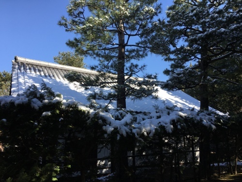 京の雪景色_b0153663_11555224.jpeg