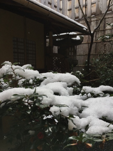 京の雪景色_b0153663_11585603.jpeg