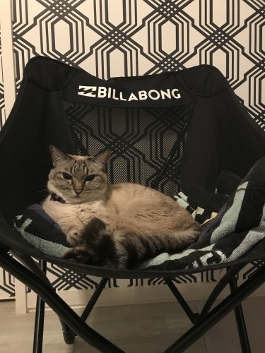 Stay healthy._c0153966_10085846.jpeg