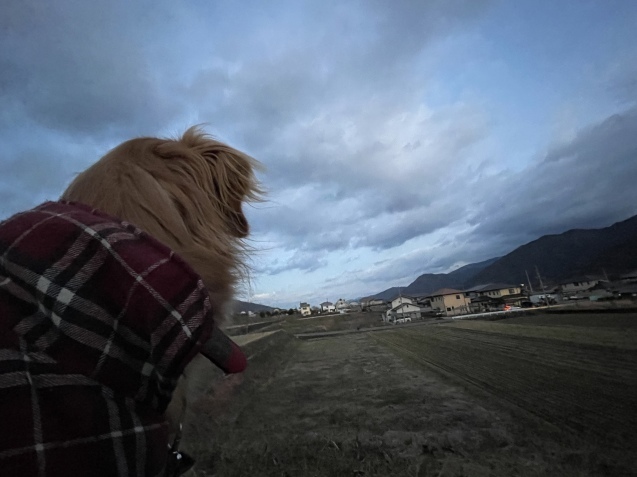いつもの週末。_a0394574_21263826.jpeg