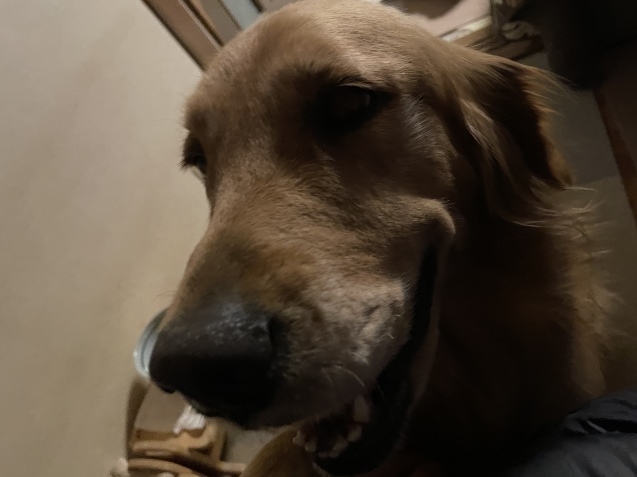 いつもの週末。_a0394574_21332445.jpeg
