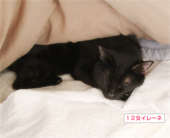 くさいベッド_a0389088_15004390.jpg