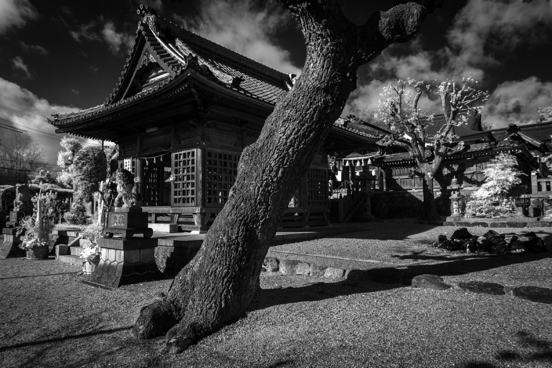 小野田又蔵の神楽殿がある打越の氏神さま - 神明社_d0353489_16550812.jpg