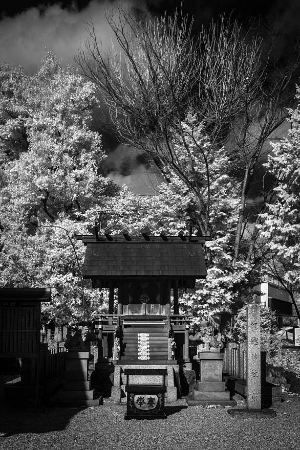 小野田又蔵の神楽殿がある打越の氏神さま - 神明社_d0353489_16590147.jpg