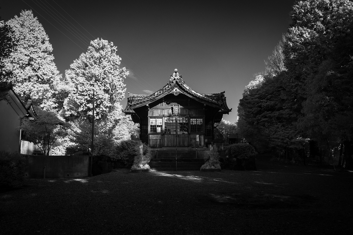 駅から徒歩5分の黒笹の氏神さま - 八幡神社_d0353489_19182370.jpg