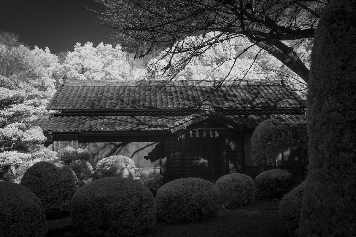 クスノキの森に抱かれた福田の氏神さま - 神明社_d0353489_22064485.jpg