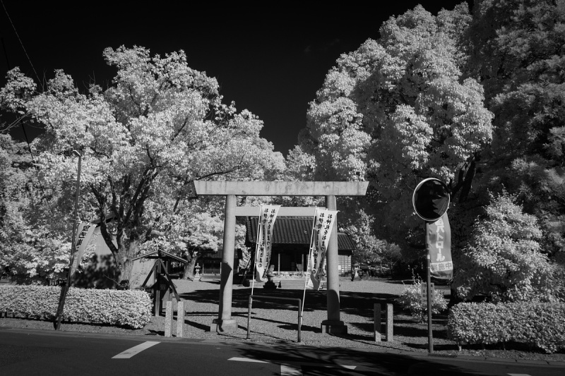 みよし市で一番西にある西一色の氏神さま - 神明社_d0353489_22175651.jpg