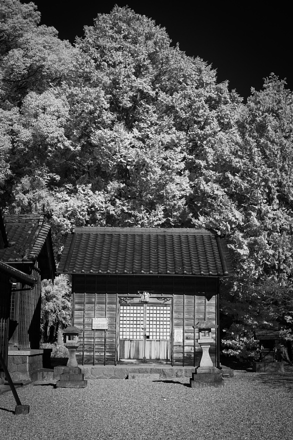 みよし市で一番西にある西一色の氏神さま - 神明社_d0353489_22181697.jpg