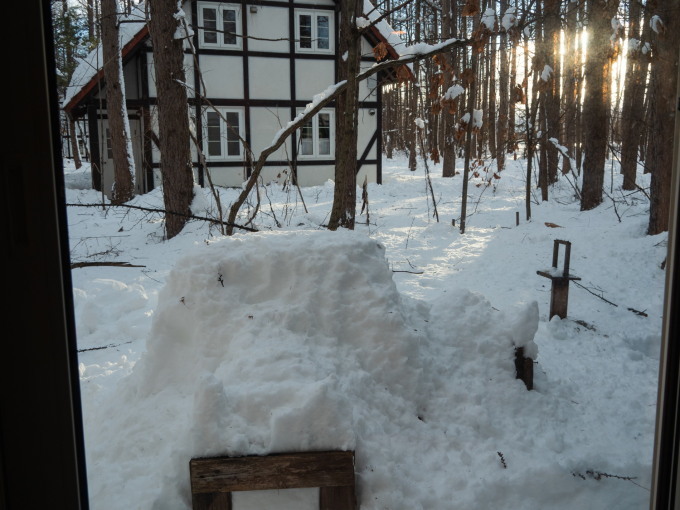 70センチ以上の積雪で・・雪に埋もれてしまいました。_f0276498_11091838.jpg