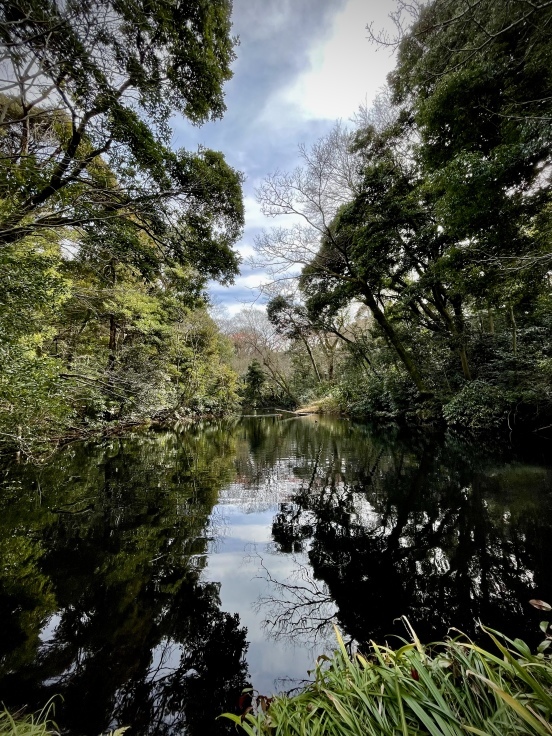 都心にある自然教育園 AkikoのLovely days!