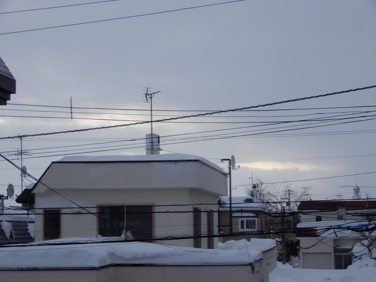 大雪からはゆっくりと抜けてきたようです_c0025115_21241548.jpg