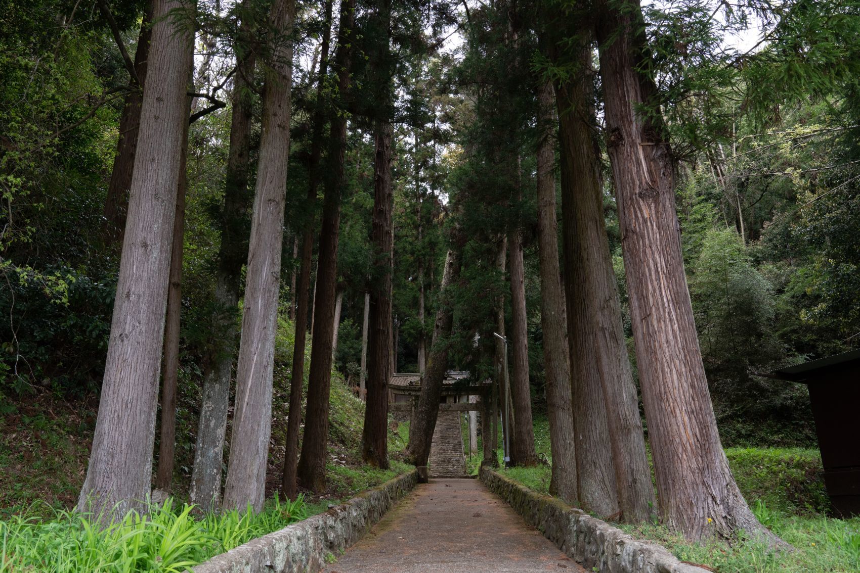 【重要文化財|戸隠神社 本殿】 行き方、見学のしかた (兵庫県)_b0212342_09043068.jpg