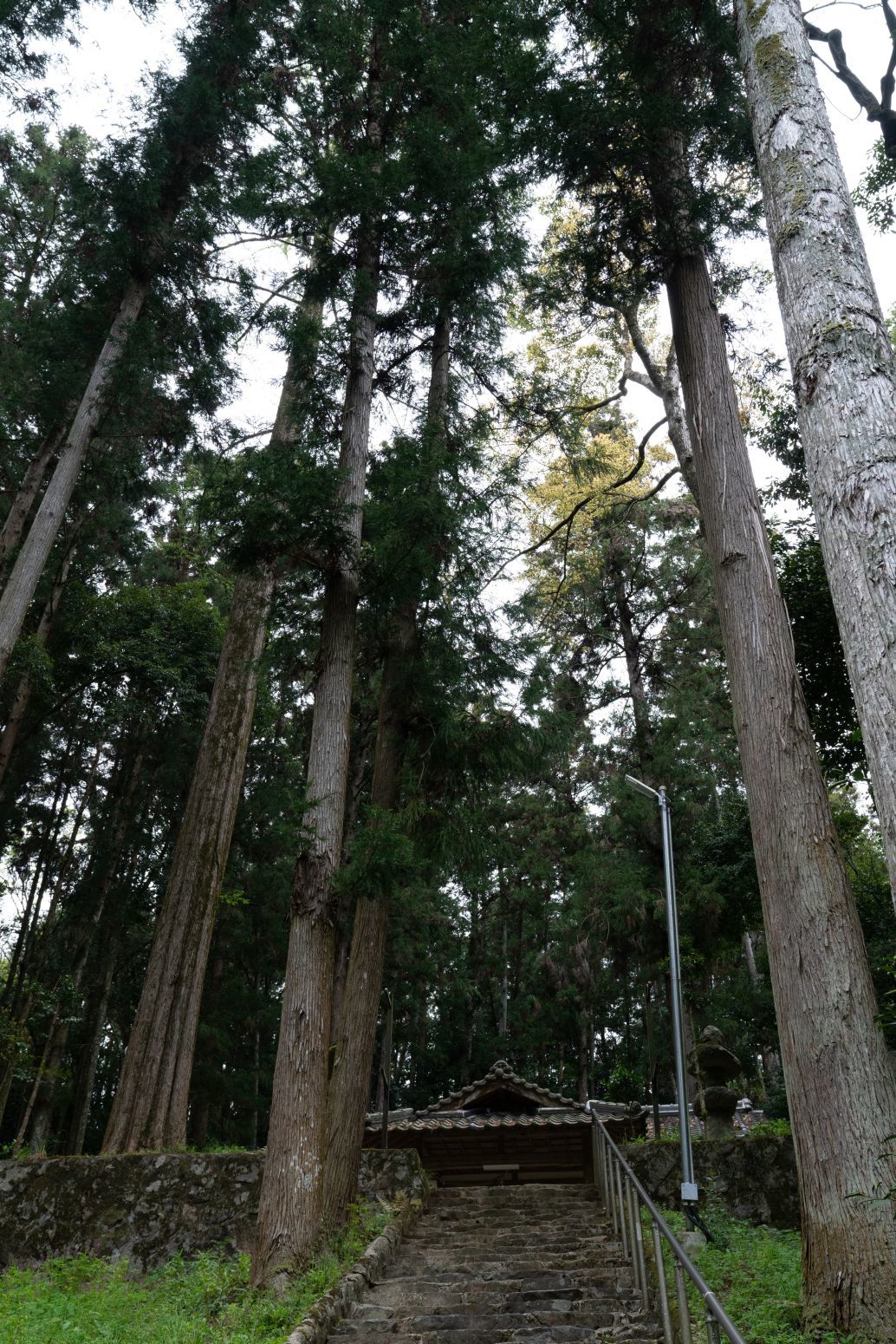【重要文化財|戸隠神社 本殿】 行き方、見学のしかた (兵庫県)_b0212342_09050745.jpg