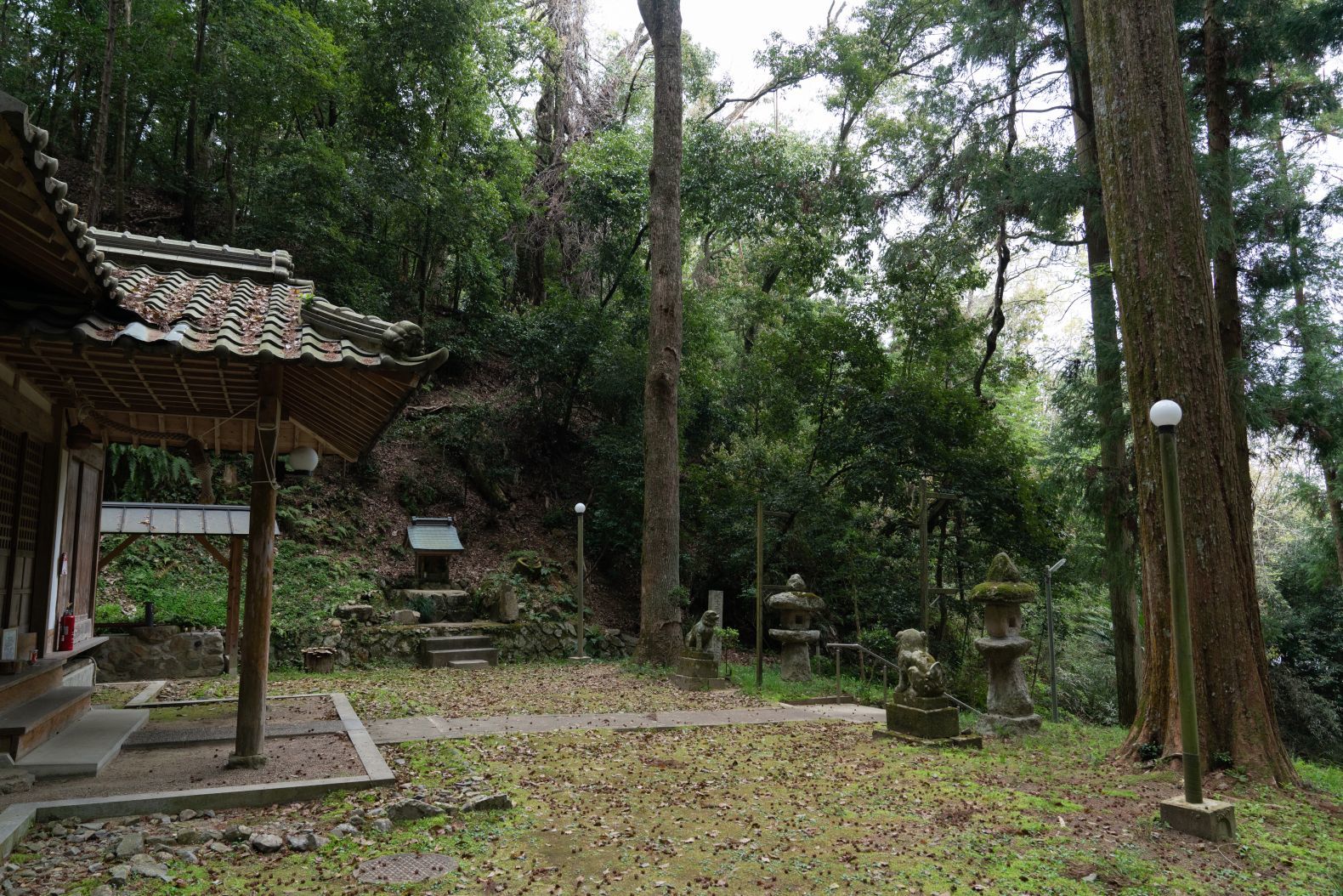 【重要文化財|戸隠神社 本殿】 行き方、見学のしかた (兵庫県)_b0212342_09142571.jpg