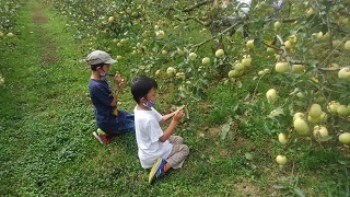 りんご狩りとフルーツカレーの会_a0120468_04063181.jpg