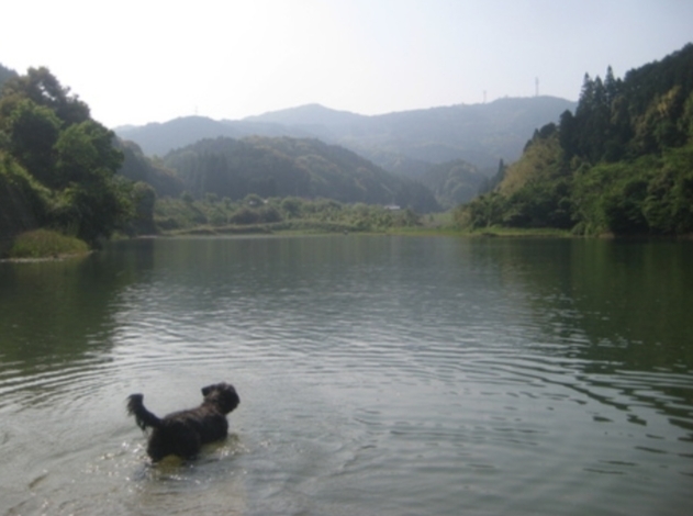 信楽の陶土の削りと轆轤_d0195183_01150272.jpg