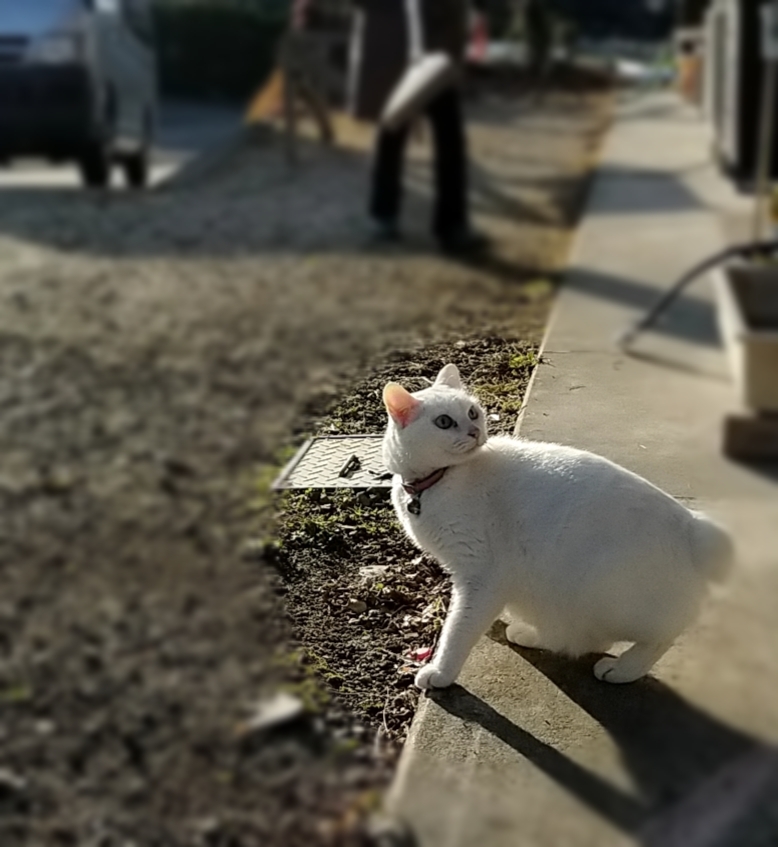 信楽の陶土の削りと轆轤_d0195183_01162591.jpg