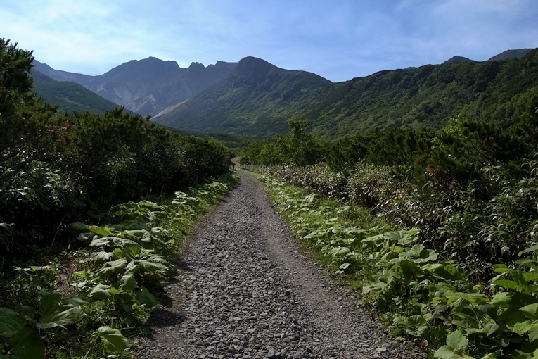 富良野岳（十勝岳温泉コース）_a0270291_08593976.jpg