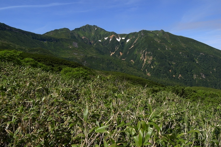 富良野岳（十勝岳温泉コース）_a0270291_09100776.jpg