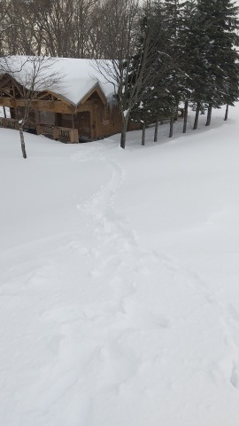 今日の雪_b0343293_21081704.jpg