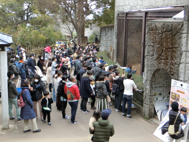 新春の 2つのイベント_c0290504_17090253.jpg