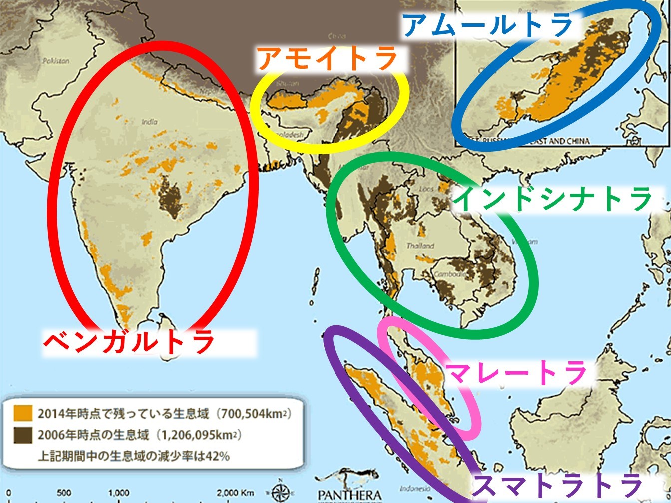 新春の 2つのイベント_c0290504_17201132.jpg