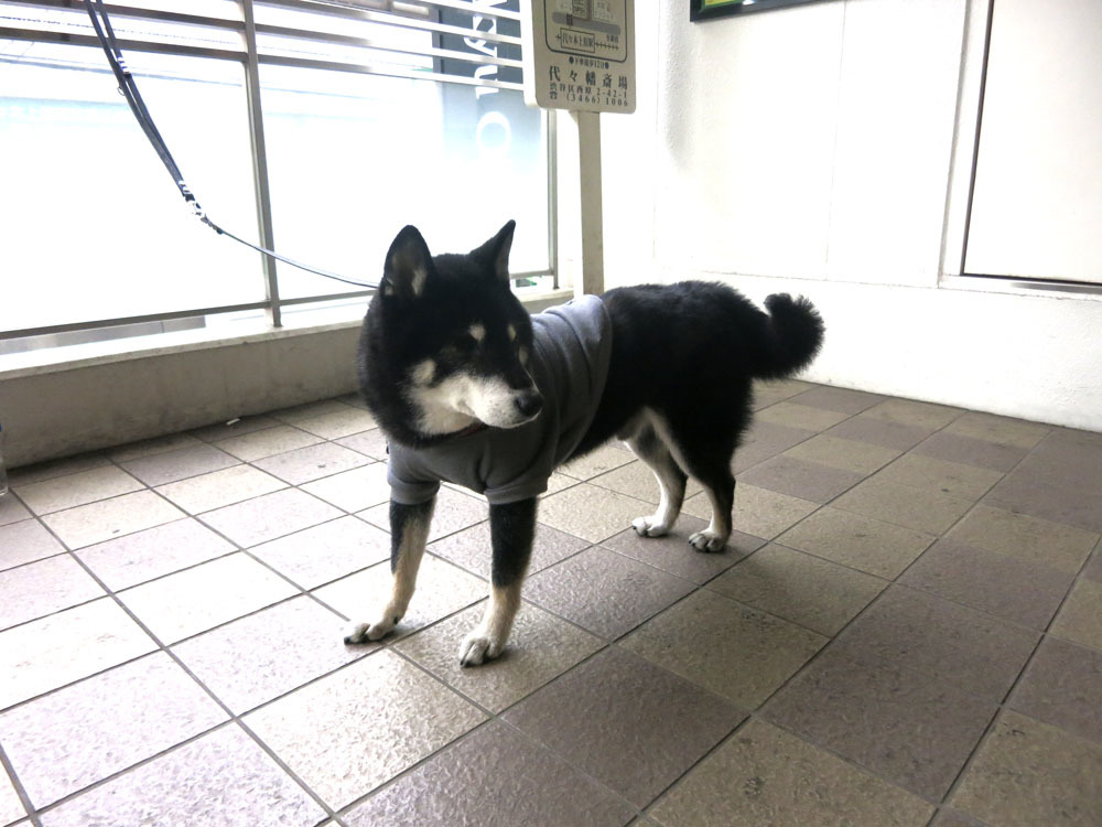 睦月の過ごし方Ⅲ_e0367330_15472976.jpg